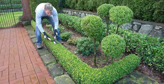 Société Leroy Travaux d’aménagements d’espaces verts à Capinghem